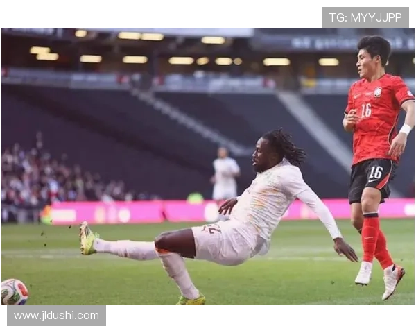 国足赛场乌龙 喀麦隆旗倒尴尬 国足赛场乌龙 喀麦隆旗倒尴尬